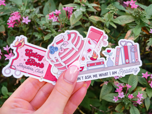 Spicy Bookish Sticker Pack - Set of 4 Matte or Sparkly Stickers for Readers